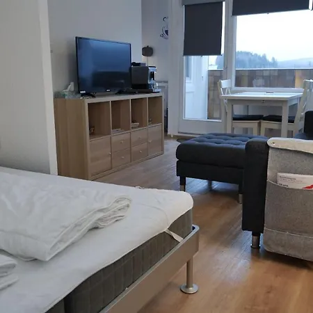 Waldkäuzchen Apartment Altenau (Lower-Saxony)